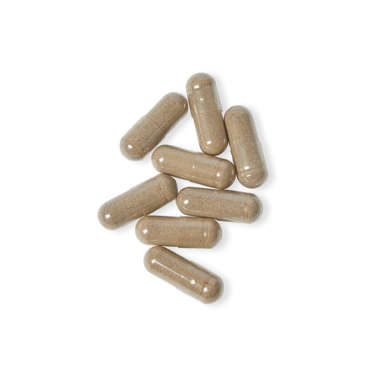 Sea Moss